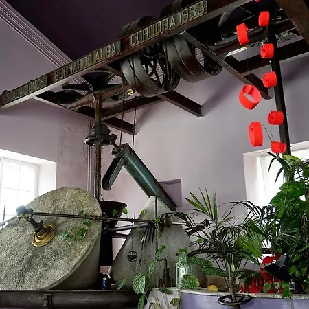 Almazara De San Pedro *