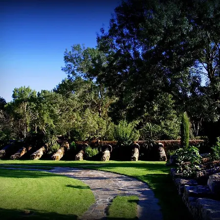 Almazara De San Pedro