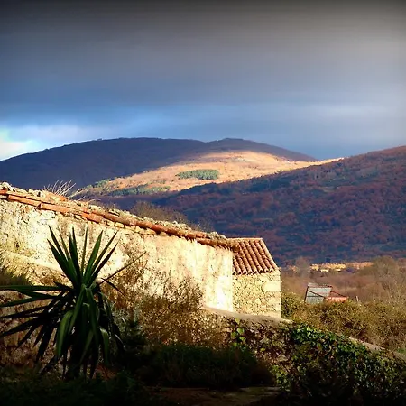 Almazara De San Pedro