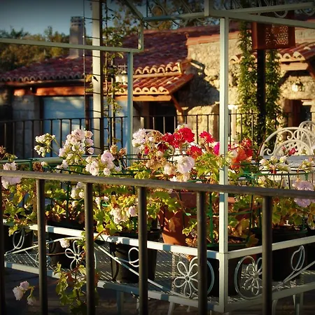 Almazara De San Pedro