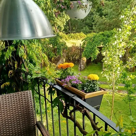 Almazara De San Pedro *