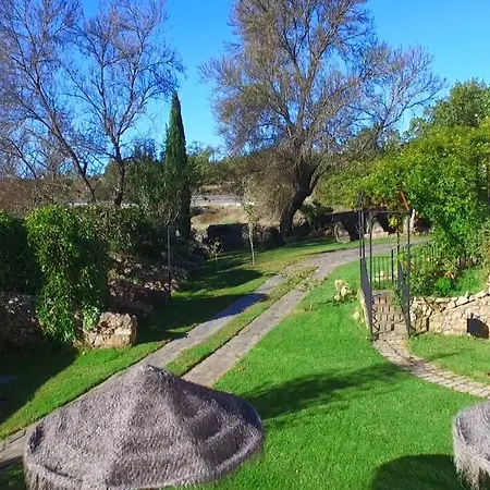 Almazara De San Pedro