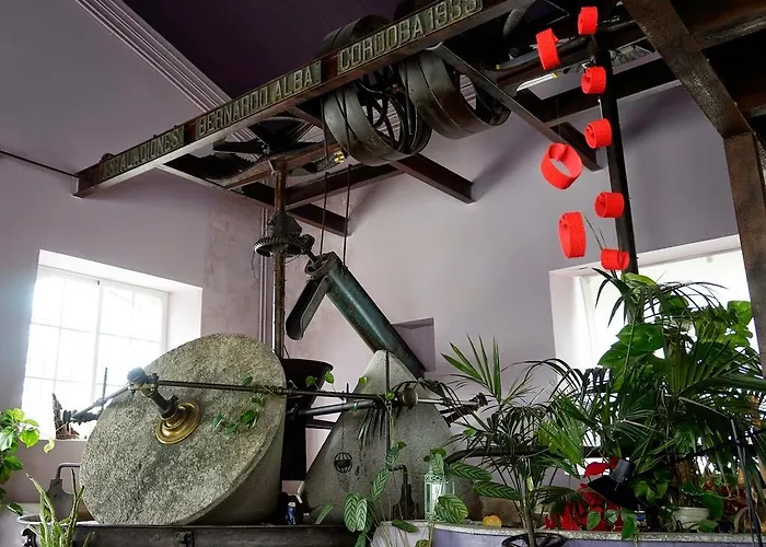 Almazara De San Pedro *